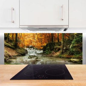 Panel Szklany Ukryty Wodospad w Gęstwinie