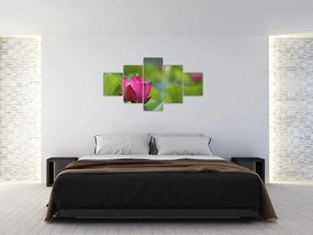 Obraz - roślina wodna (125x70 cm)