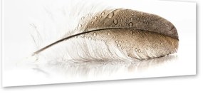 Obraz Styler Glasspik Wings, 50x125 cm
