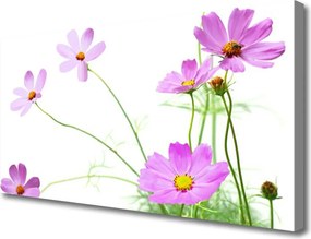 Obraz na płótnie Delikatność Polnych Roślin