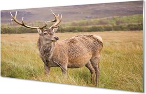 Panel Szklany Samotny Jeleń na tle Horyzontu