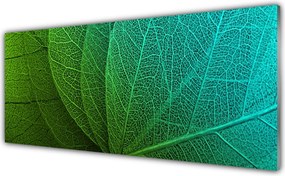 Panel Kuchenny Botaniczna Forma Abstrakcyjna