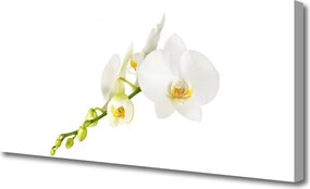 Obraz canvas Pełnia Kwiatowego Rozkwitu