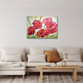 Obraz - Kwiaty maku (70x50 cm)