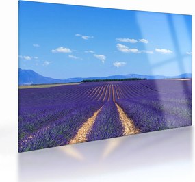 Obraz na szkle - Pole lawendy (70x50 cm)