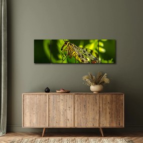 Obraz owada (170x50 cm)