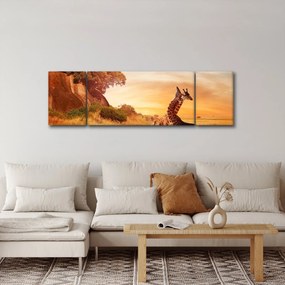 Obraz - Żyrafy w Afryce (170x50 cm)
