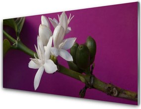 Panel nad blat kuchenny Rozkwitająca Flora Botaniczna