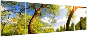 Obraz wiosennej łąki (170x50 cm)