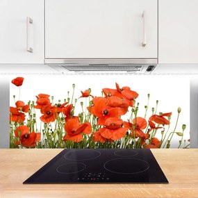 Panel Kuchenny Polne Maki W Słońcu