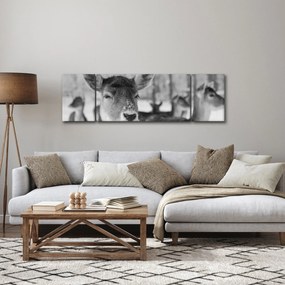 Obraz - Jelonki, czarno - biały (170x50 cm)