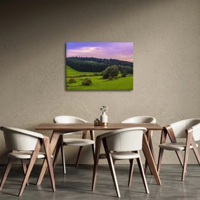 Obraz łąki (70x50 cm)