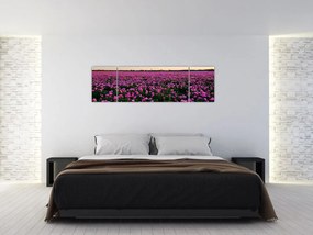 Obraz - Łąka fioletowych tulipanów (170x50 cm)