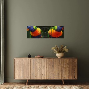 Obraz papug (z zegarem) (90x30 cm)