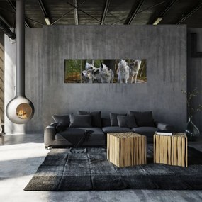 Obraz - Wilki na skale (170x50 cm)