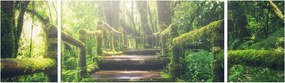 Obraz - drewniane schody w lesie (170x50 cm)