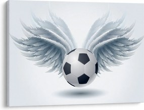 Obraz - Balon ze skrzydłami (70x50 cm)