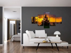 Obraz - drzewa iglaste (125x70 cm)