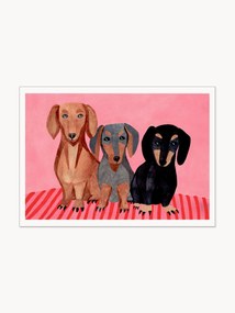 Plakat Dachshunds