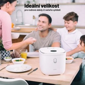 Lauben Low Sugar Rice Cooker  3000WT