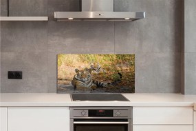 Panel szklany do Kuchni Królewska Para Tygrysów