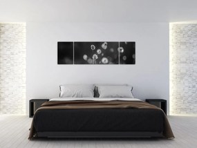 Obraz - Trawa bawełniana na łące (170x50 cm)