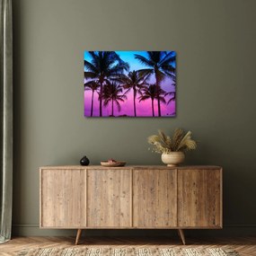 Obraz - Palmy w Miami (70x50 cm)