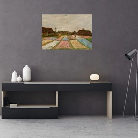 Obraz - Vincent van Gogh, Flower Beds in Holland, reprodukcje (70x50 cm)
