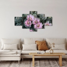 Obraz kwiatu kaktusa (125x70 cm)