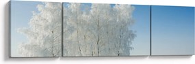 Obraz zaśnieżonego krajobrazu (170x50 cm)