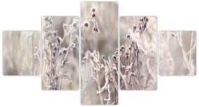 Obraz - Roślina (125x70 cm)