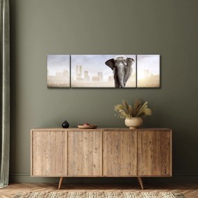 Obraz - Słonie w wielkim mieście (170x50 cm)