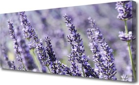 Obraz canvas Natura w Pełnym Rozkwicie