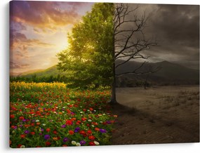 Obraz - Cykl życia (70x50 cm)