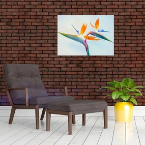 Obraz kwiatu Strelicji (70x50 cm)
