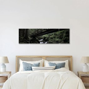 Obraz z czarnego lasu (170x50 cm)