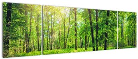 Obraz - Wiosenny las liściasty (170x50 cm)