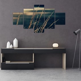 Obraz traw (125x70 cm)