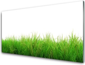 Panel Szklany Soczysta Zielona Trawa