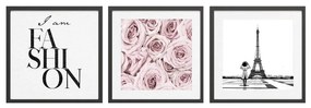 Obrazy zestaw 3 szt. 30x40 cm Parisienne – Styler