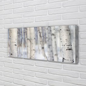 Obraz na płótnie Drzewa Zimą w Śniegu