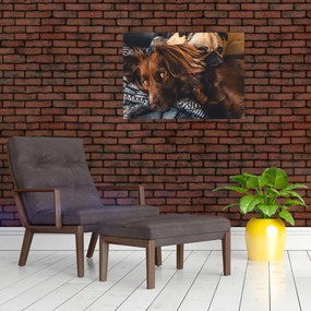 Obraz leżących psów (70x50 cm)