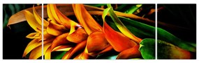 Obraz pomarańczowego kwiatu (170x50 cm)