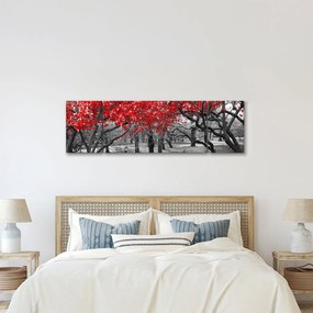 Obraz - Czerwone drzewa, Central Park, New York (170x50 cm)