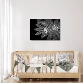 Obraz na szkle - Krople (70x50 cm)