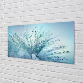 Panel nad Blat Kuchenny Ulotne Krople na Dmuchawcu