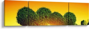 Obraz - Serce w koronach drzew (170x50 cm)