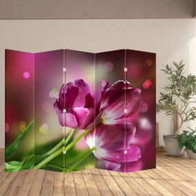 Parawan - Różowe tulipany (210x170 cm)