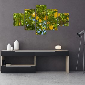 Obraz - Drzewo cytrynowe (125x70 cm)