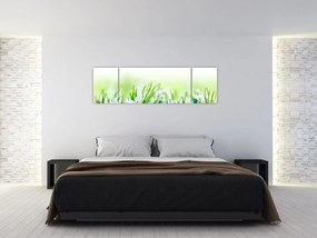 Obraz - Przebiśniegi (170x50 cm)